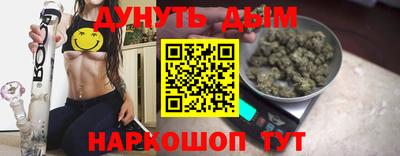 гидра Новодвинск