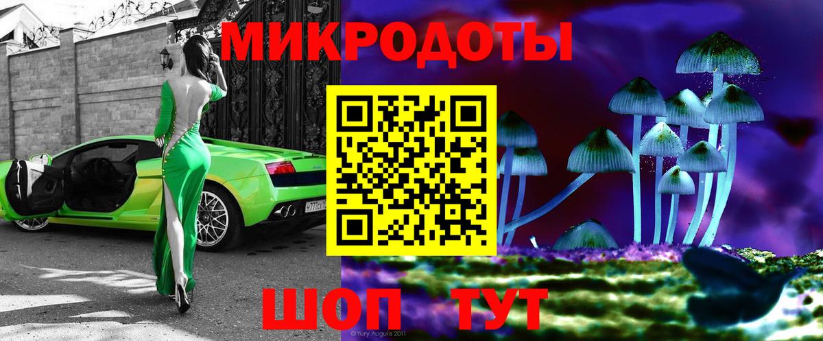 Галлюциногенные грибы Psilocybe  Вход с VPN  Псилоцибиновые грибы мицелий  Киржач 